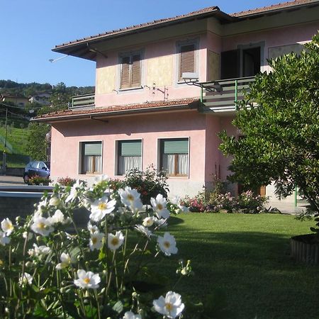 B&B Garden Solto Collina Eksteriør billede